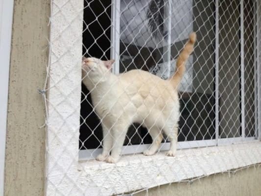 Rede de proteção para apartamento no Guarujá