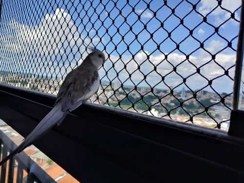 Redes de Proteção em Hortolândia